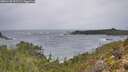 ./images/calvert/foggy-cove/20251228/foggy-cove20251228_091502M.jpg