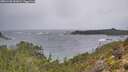 ./images/calvert/foggy-cove/20251228/foggy-cove20251228_092002M.jpg