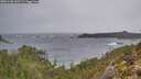 ./images/calvert/foggy-cove/20251228/foggy-cove20251228_092501M.jpg