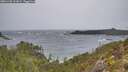./images/calvert/foggy-cove/20251228/foggy-cove20251228_101001M.jpg