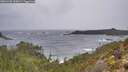 ./images/calvert/foggy-cove/20251228/foggy-cove20251228_105001M.jpg