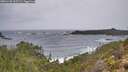 ./images/calvert/foggy-cove/20251228/foggy-cove20251228_105502M.jpg