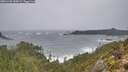 ./images/calvert/foggy-cove/20251228/foggy-cove20251228_130001M.jpg