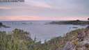 ./images/calvert/foggy-cove/20260105/foggy-cove20260105_085501M.jpg