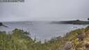 ./images/calvert/foggy-cove/20260105/foggy-cove20260105_123501M.jpg
