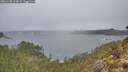 ./images/calvert/foggy-cove/20260105/foggy-cove20260105_124001M.jpg