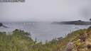 ./images/calvert/foggy-cove/20260105/foggy-cove20260105_125002M.jpg
