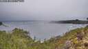 ./images/calvert/foggy-cove/20260105/foggy-cove20260105_130501M.jpg