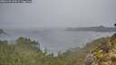 ./images/calvert/foggy-cove/20260105/foggy-cove20260105_132001M.jpg