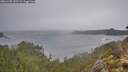 ./images/calvert/foggy-cove/20260105/foggy-cove20260105_132501M.jpg
