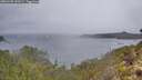 ./images/calvert/foggy-cove/20260105/foggy-cove20260105_133501M.jpg