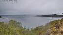 ./images/calvert/foggy-cove/20260105/foggy-cove20260105_134001M.jpg