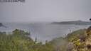 ./images/calvert/foggy-cove/20260105/foggy-cove20260105_141001M.jpg