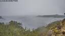 ./images/calvert/foggy-cove/20260105/foggy-cove20260105_141501M.jpg
