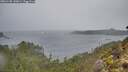 ./images/calvert/foggy-cove/20260105/foggy-cove20260105_143001M.jpg