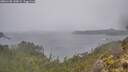 ./images/calvert/foggy-cove/20260105/foggy-cove20260105_144501M.jpg