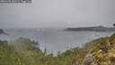 ./images/calvert/foggy-cove/20260105/foggy-cove20260105_151501M.jpg
