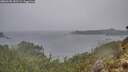 ./images/calvert/foggy-cove/20260105/foggy-cove20260105_152501M.jpg