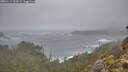 ./images/calvert/foggy-cove/20260114/foggy-cove20260114_110001M.jpg