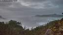 ./images/calvert/foggy-cove/20260114/foggy-cove20260114_171501M.jpg
