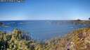 ./images/calvert/foggy-cove/20260115/foggy-cove20260115_122002M.jpg