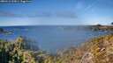 ./images/calvert/foggy-cove/20260115/foggy-cove20260115_133001M.jpg