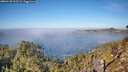./images/calvert/foggy-cove/20260120/foggy-cove20260120_112501M.jpg