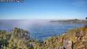 ./images/calvert/foggy-cove/20260120/foggy-cove20260120_113001M.jpg