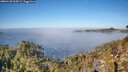 ./images/calvert/foggy-cove/20260120/foggy-cove20260120_115001M.jpg
