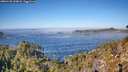 ./images/calvert/foggy-cove/20260120/foggy-cove20260120_120001M.jpg