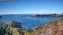 ./images/calvert/foggy-cove/20260120/foggy-cove20260120_133501M.jpg