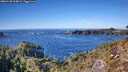 ./images/calvert/foggy-cove/20260120/foggy-cove20260120_134001M.jpg