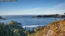 ./images/calvert/foggy-cove/20260120/foggy-cove20260120_154002M.jpg