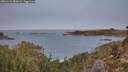 ./images/calvert/foggy-cove/20260121/foggy-cove20260121_081001M.jpg