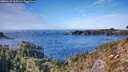 ./images/calvert/foggy-cove/20260121/foggy-cove20260121_133501M.jpg