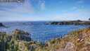 ./images/calvert/foggy-cove/20260121/foggy-cove20260121_135501M.jpg