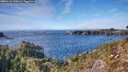 ./images/calvert/foggy-cove/20260121/foggy-cove20260121_140002M.jpg