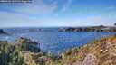 ./images/calvert/foggy-cove/20260121/foggy-cove20260121_140501M.jpg