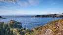 ./images/calvert/foggy-cove/20260121/foggy-cove20260121_145001M.jpg