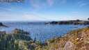 ./images/calvert/foggy-cove/20260121/foggy-cove20260121_145501M.jpg