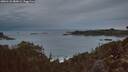 ./images/calvert/foggy-cove/20260122/foggy-cove20260122_080002M.jpg