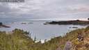 ./images/calvert/foggy-cove/20260122/foggy-cove20260122_084501M.jpg
