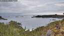 ./images/calvert/foggy-cove/20260122/foggy-cove20260122_085502M.jpg