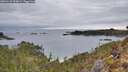 ./images/calvert/foggy-cove/20260122/foggy-cove20260122_090001M.jpg