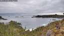 ./images/calvert/foggy-cove/20260122/foggy-cove20260122_094501M.jpg