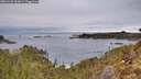 ./images/calvert/foggy-cove/20260122/foggy-cove20260122_101001M.jpg