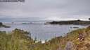 ./images/calvert/foggy-cove/20260122/foggy-cove20260122_101501M.jpg
