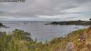./images/calvert/foggy-cove/20260122/foggy-cove20260122_125501M.jpg
