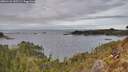 ./images/calvert/foggy-cove/20260122/foggy-cove20260122_130501M.jpg