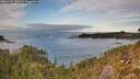 ./images/calvert/foggy-cove/20260122/foggy-cove20260122_141001M.jpg